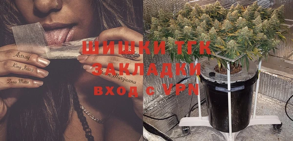 шишки Балабаново