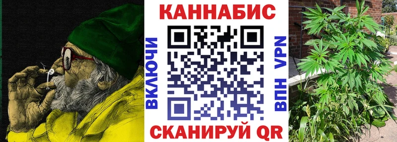 Бошки Шишки сатива  Салаир 
